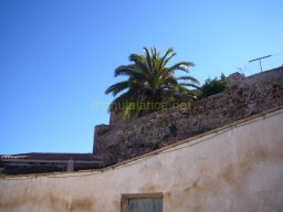 Pueblo de Aledo 2009